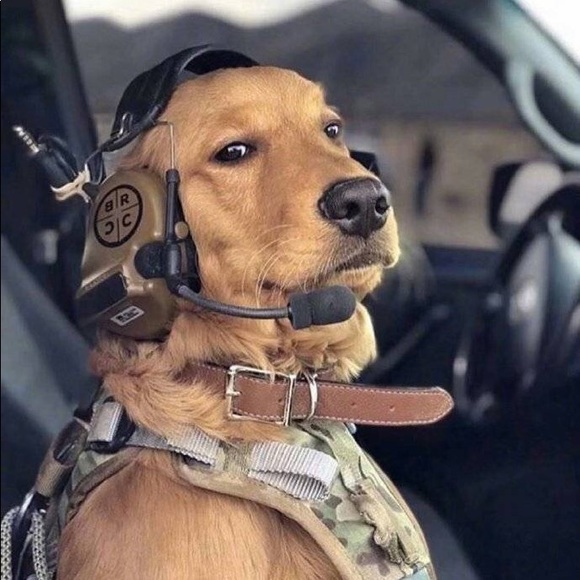 Becky G - Picture 1 of 1